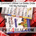 Comment Utiliser La Gelée Orale 100 Mg Kamagra 11